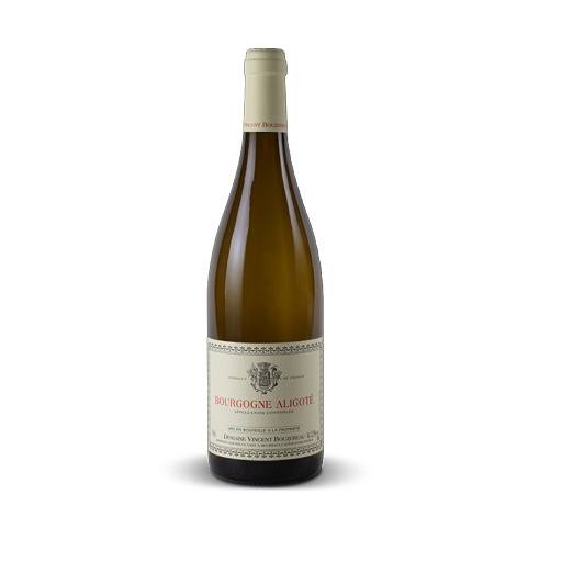 Bourgogne Aligoté blanc 2024
