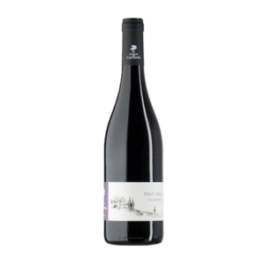 Pinot Noir "Les Mûriers" IGP 2023