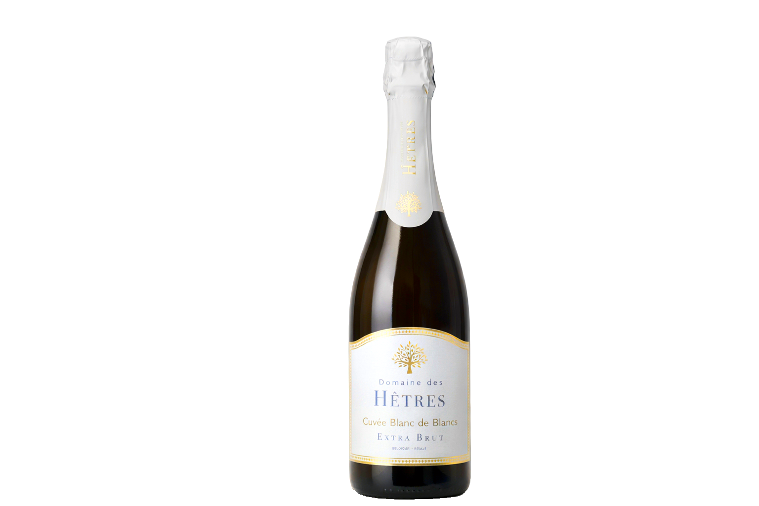 Cuvée Blanc de Blancs Extra Brut