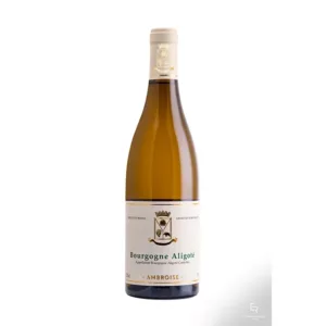 Bourgogne Aligoté 2024