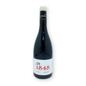 Morgon "Les Charmes" 2023