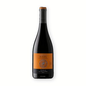 Antu Syrah 2021